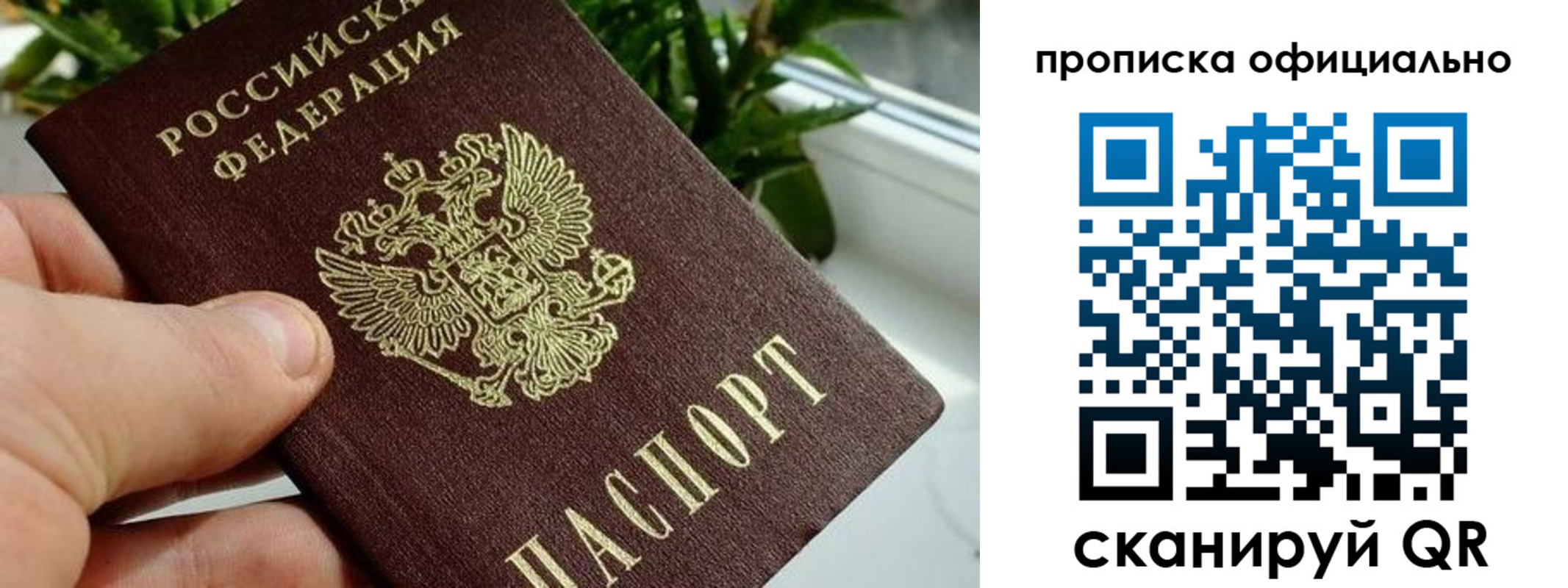 прописка поиск в Вихоревке
